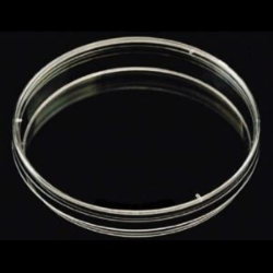 Bioplast Manufacturing 2917